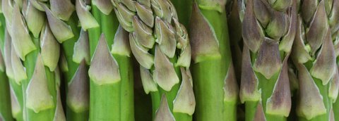 Asparagus