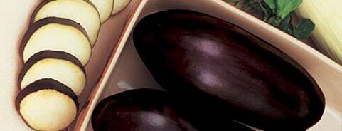 Aubergine