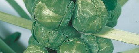 Brussels Sprouts
