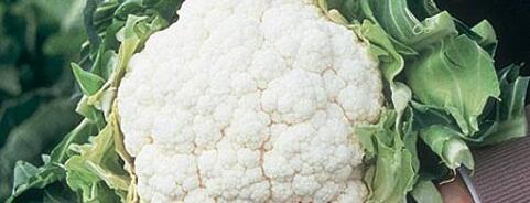 Cauliflower