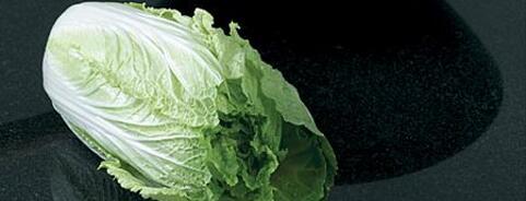 Chinese Cabbage