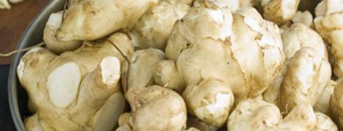Jerusalem Artichoke