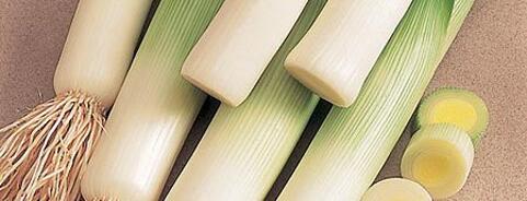 Leek