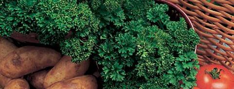 Parsley