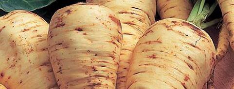 Parsnip