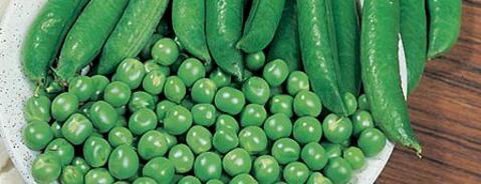 Garden Pea