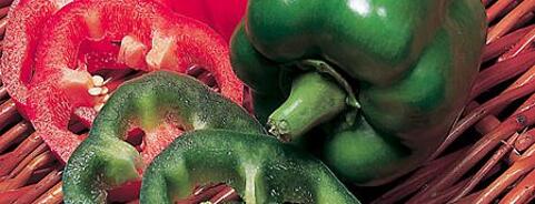 Pepper & Chilli